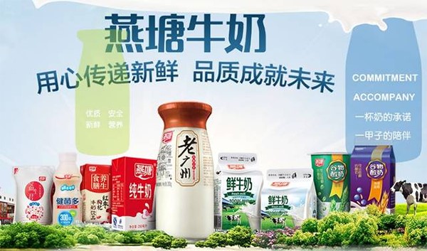 燕塘牛奶品牌戰略,燕塘品牌戰略,燕塘